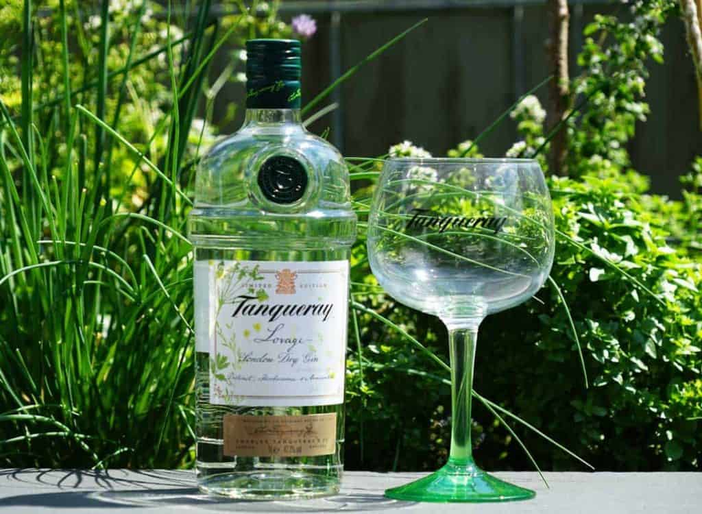 Auf einem Tisch im Freien stehen eine Flasche Tanqueray-Gin und ein leeres Glas der Marke Tanqueray, umgeben von üppigen grünen Pflanzen im strahlenden Sonnenlicht.