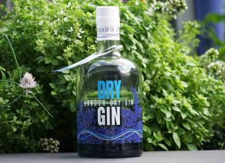 Testbericht Dry Gin London Dry Gin