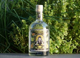 Testbericht Grumsiner Gin