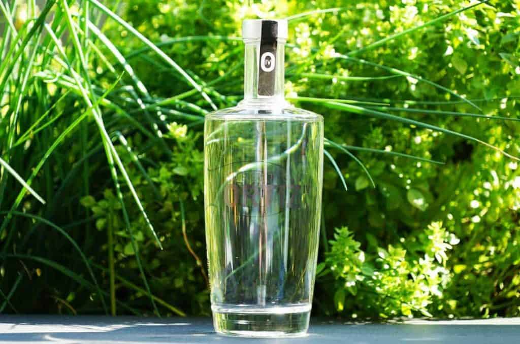 Eine Gin-Flasche aus klarem Glas mit silbernem Verschluss steht im Freien auf einer grauen Fläche, umgeben von üppig grünen Kräutern und hohem Gras im Sonnenlicht.