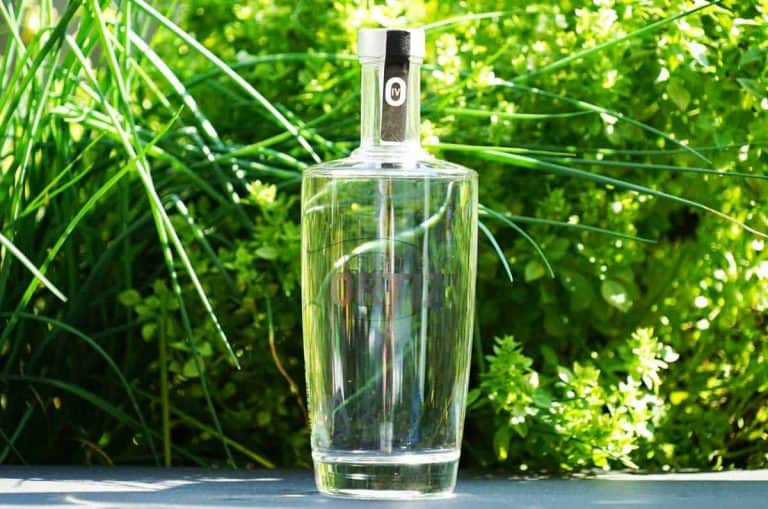 Eine Gin-Flasche aus klarem Glas mit silbernem Verschluss steht im Freien auf einer grauen Fläche, umgeben von üppig grünen Kräutern und hohem Gras im Sonnenlicht.