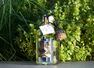 Testbericht Sauerländer Edelbrennerei Gin