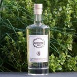 Testbericht Lehmitz Gin Hamburg