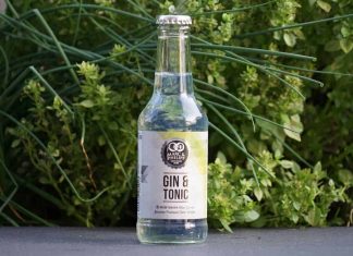 Testbericht Marc & Philipp Gin & Tonic – Fertiger Gin Tonic kann das schmecken?