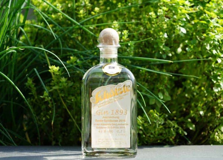 Eine Flasche „Schlichte Gin 1893“ mit einem Holzkorken steht im Freien auf einer dunklen Oberfläche, im Hintergrund sind grüne, blättrige Pflanzen zu sehen. Das Etikett ist gold-weiß und enthält Angaben zu Auszeichnungen.