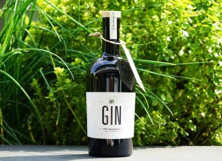 Testbericht Dry Gin Styria Schneeberger Destillate