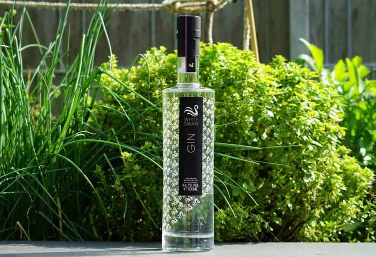 Eine Flasche „White Swan Gin“ steht im Freien auf einer dunklen Fläche, umgeben von grünen Blattpflanzen im strahlenden Sonnenlicht.