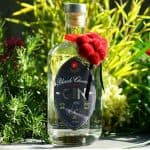 Testbericht Black Cherry Gin Eine Flasche des Black Cherry Gins