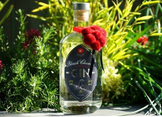 Testbericht Black Cherry Gin Eine Flasche des Black Cherry Gins