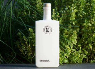 Testbericht Nordic Spirits Lab Gin Eine Flasche des Nordic Spirits Lab Gins