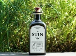 Eine Flasche des Stin Gins
