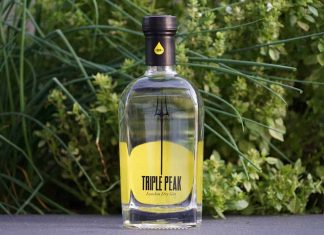 Testbericht Triple Peak London Dry Gin Eine Flasche des Triple Peak London Dry Gins