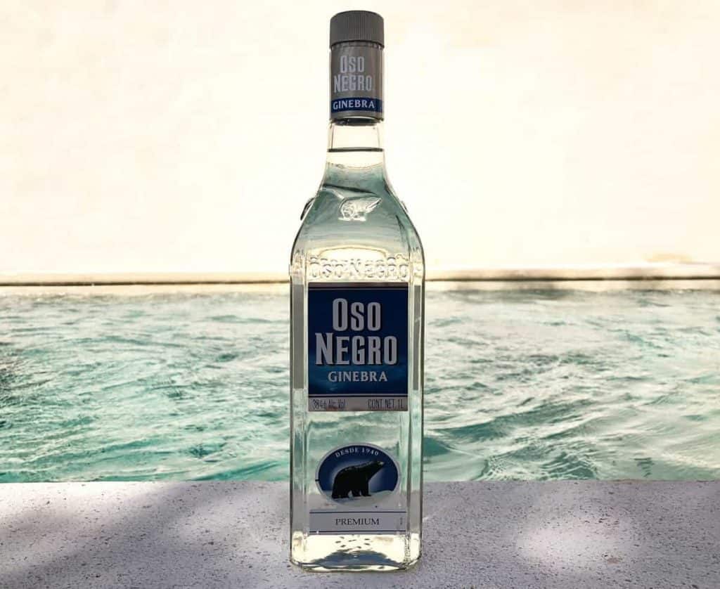Eine Flasche des Ost Negro Ginebra Premium Gins