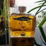 Testbericht Cubical Premium Special Distilled Gin Mango Eine Flasche des Premium Special Distilled Gin Mango