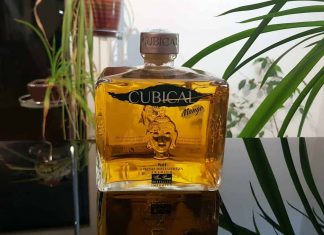 Testbericht Cubical Premium Special Distilled Gin Mango Eine Flasche des Premium Special Distilled Gin Mango