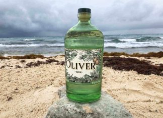 Testbericht Henry Oliver Gin Eine Flasche des Henry Oliver Gins