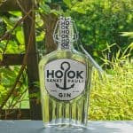 Testbericht Hook Sankt Pauli Gin Eine Flasche des Hook Sankt Pauli Gins