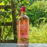 Testbericht Larios Rosé Gin Eine Flasche des Larios Rose Gins