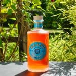 Testbericht Malfy Gin Con Arancia Eine Flasche des Malfy Con Arancia