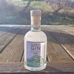 Testbericht Element Gin – Aer Eine Flasche des Element Gins Aer