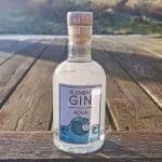 Testbericht Element Gin – Aqua