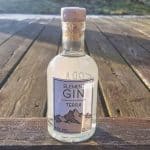 Testbericht Element Gin – Terra Eine Flasche des Element Gin Terra