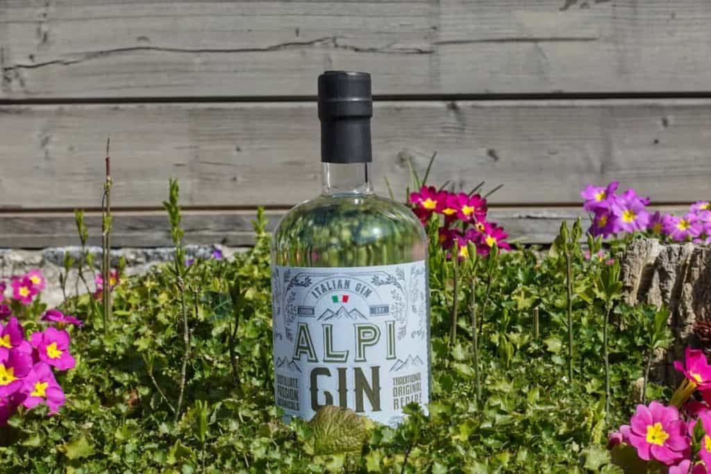 Eine Flasche Alpi Gin steht inmitten von grünen Pflanzen und rosa Blumen, im Hintergrund ist ein Holzzaun zu sehen.