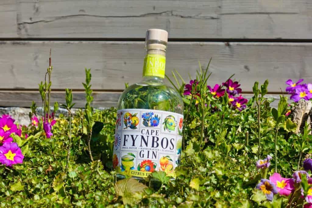Eine Flasche „Cape Fynbos Gin“ steht im grünen Gras inmitten von rosa, violetten und gelben Blumen, im Hintergrund ist ein Holzzaun zu sehen.