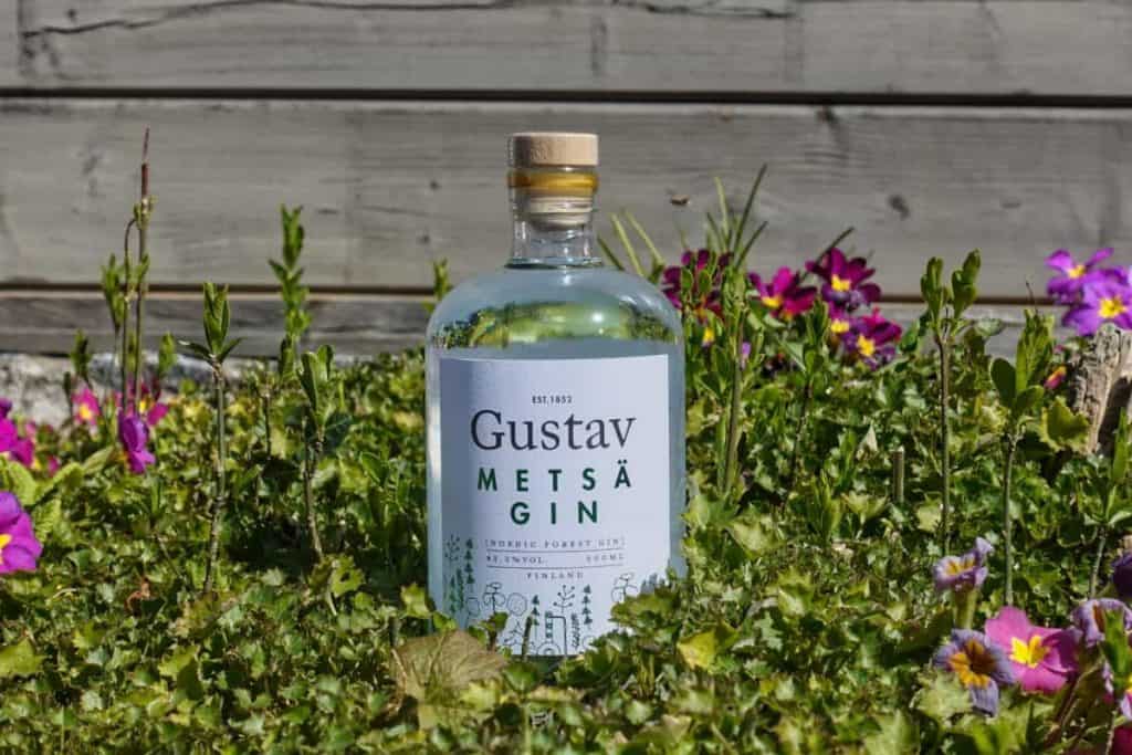 Eine Flasche Gustav Metsä Gin steht inmitten von grünen Pflanzen und bunten lila und rosa Blumen, im Hintergrund ist ein Holzzaun zu sehen.