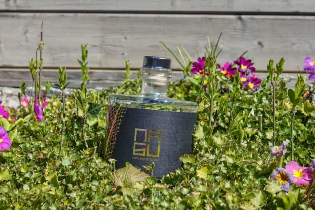 Eine Flasche mit einem schwarz-goldenen Etikett steht inmitten von grünen Pflanzen und rosa Blumen, im Hintergrund ist ein Holzzaun zu sehen.