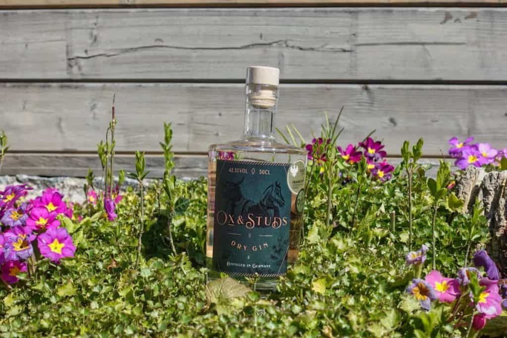 Eine Flasche „Ox & Studs Dry Gin“ steht aufrecht im grünen Gras, umgeben von leuchtend rosa und violetten Blumen, im Hintergrund ist ein Holzzaun zu sehen.