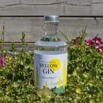 Testbericht Yellow Gin