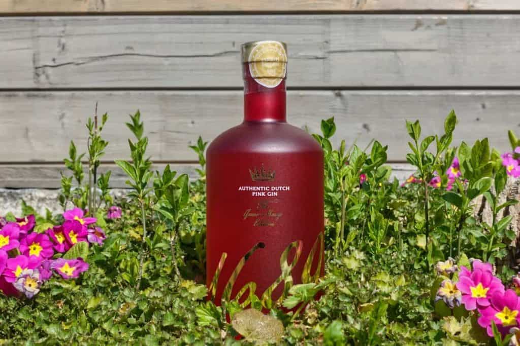 Eine rote Flasche mit holländischem Pink Gin steht inmitten von grünen Pflanzen und rosa sowie gelben Blumen, im Hintergrund ist ein Holzzaun zu sehen.