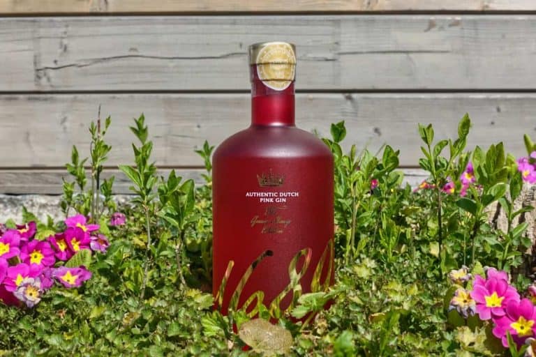 Eine rote Flasche mit holländischem Pink Gin steht inmitten von grünen Pflanzen und rosa sowie gelben Blumen, im Hintergrund ist ein Holzzaun zu sehen.
