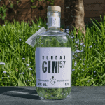 Testbericht Rundai Gin 57