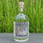 Testbericht Privilege Gin