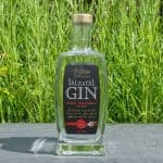 Testbericht Salzatal Gin