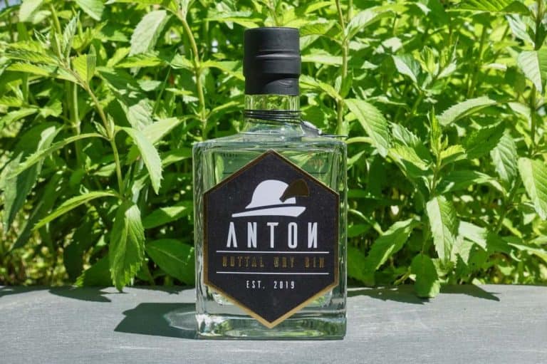 Auf einer grauen Fläche steht eine Flasche Anton Gin Brutal Dry mit schwarzem Etikett, im Hintergrund umgeben von üppig grünen Minzblättern.