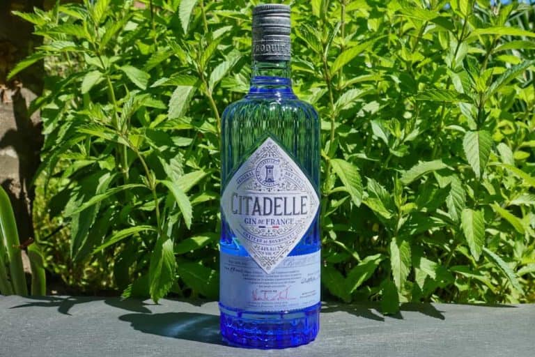 Eine blaue Glasflasche Citadelle Gin steht im Freien auf einer grauen Fläche, im Hintergrund sind grüne Blattpflanzen zu sehen, die die klare Eleganz des Citadelle Gin inmitten der Natur unterstreichen.