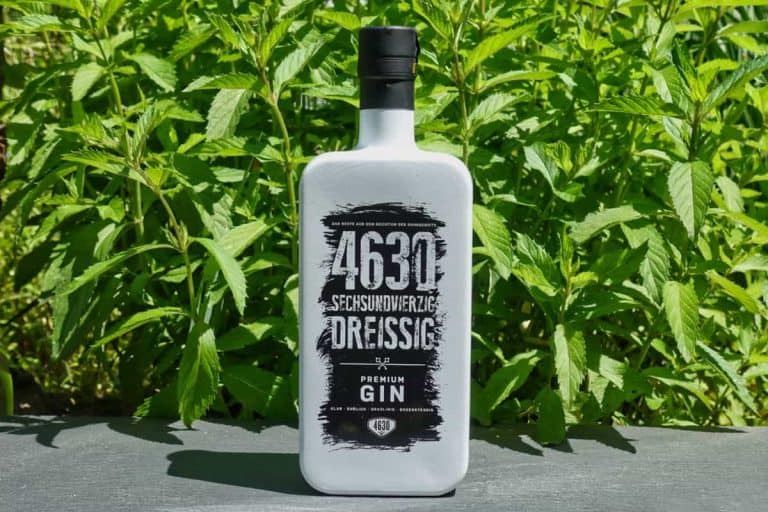 Eine weiße Flasche „4630 Premium Gin“ mit auffälliger schwarzer Beschriftung steht auf einer grauen Fläche, während üppig grüne Minzpflanzen einen lebendigen Hintergrund bilden.