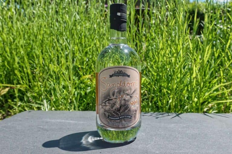 Eine durchsichtige Flasche Sanddorn Gin steht im Freien auf einer grauen Fläche, vor dem Hintergrund von hohem grünem Gras und Pflanzen im strahlenden Sonnenlicht – ein Bild, das den Geist der Natur, der im Sanddorn Gin steckt, perfekt einfängt.