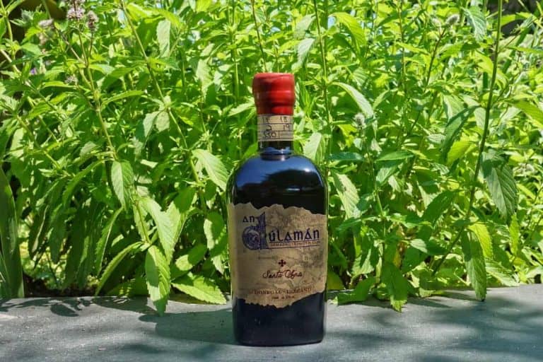 Auf einem Steinsims steht eine dunkle Flasche mit einem roten Wachssiegel und einem gealterten Papieretikett mit der Aufschrift „An Dúlamán – Santa Ana Armada Strength Gin“, im sonnigen Hintergrund ist dichtes grünes Laub zu sehen.