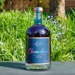 Testbericht Chameleon Dry Gin