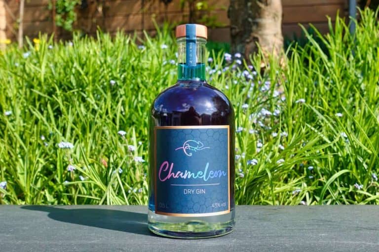 Eine Flasche Chameleon Gin mit einer dunklen Flüssigkeit steht im Freien auf einer grauen Fläche, umgeben von grünem Gras und kleinen violetten Blumen im Hintergrund.