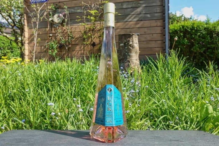 Eine hohe, durchsichtige Glasflasche „Gin Koblenz“ mit blauem Etikett steht an einem sonnigen Tag im Freien auf einer dunklen Fläche, umgeben von grünem Gras, Blumen und einem Holzschuppen im Hintergrund.