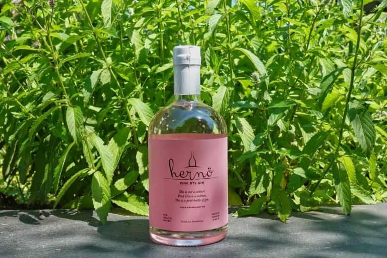 Eine Flasche „Gin Hernö Pink BTL Gin“ mit rosa Etikett steht im Freien auf einer Steinoberfläche, im Hintergrund sind an einem sonnigen Tag üppig grüne Pflanzen zu sehen.