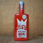 Testbericht 4812 Old Tom Gin