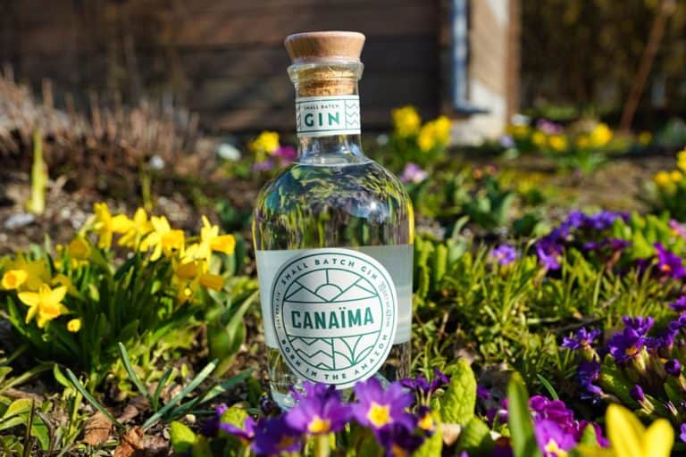 Eine klare Glasflasche mit „CANAÏMA Small Batch Gin“ steht inmitten leuchtend gelber und violetter Blumen in einem Garten, im Hintergrund sind Grünpflanzen und ein verschwommenes Gebäude zu sehen.
