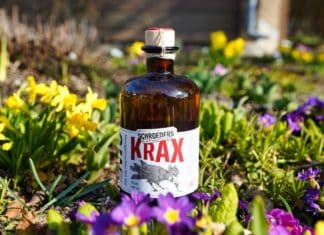 Testbericht Krax Gin