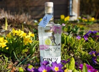 Testbericht Inge & der Honigbär Gin No. 7